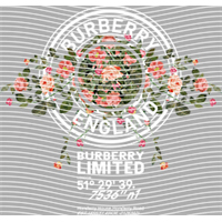 Brand Catalog-ZX 321